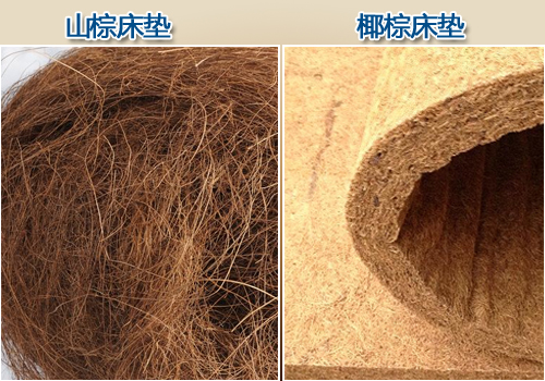 1515765556720050.jpg 1.jpg