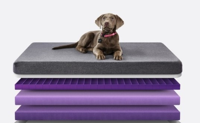 1531036447542544.jpg 16.jpg