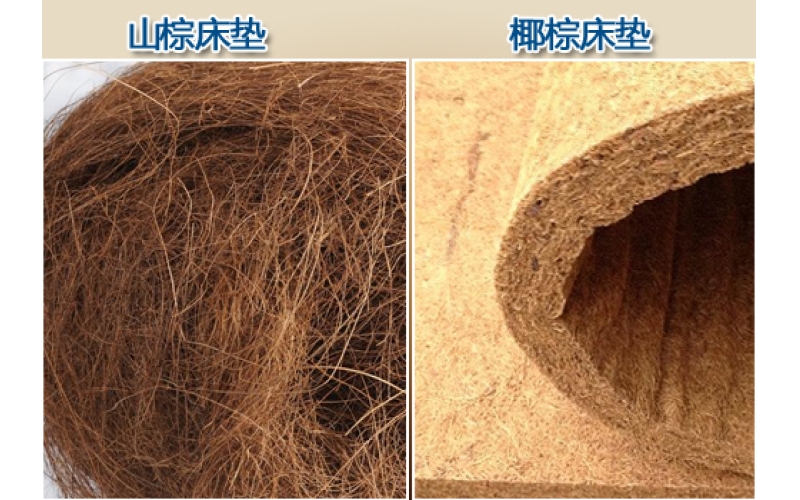 會呼吸的床墊 山棕床墊和椰棕床墊你更適合哪個？