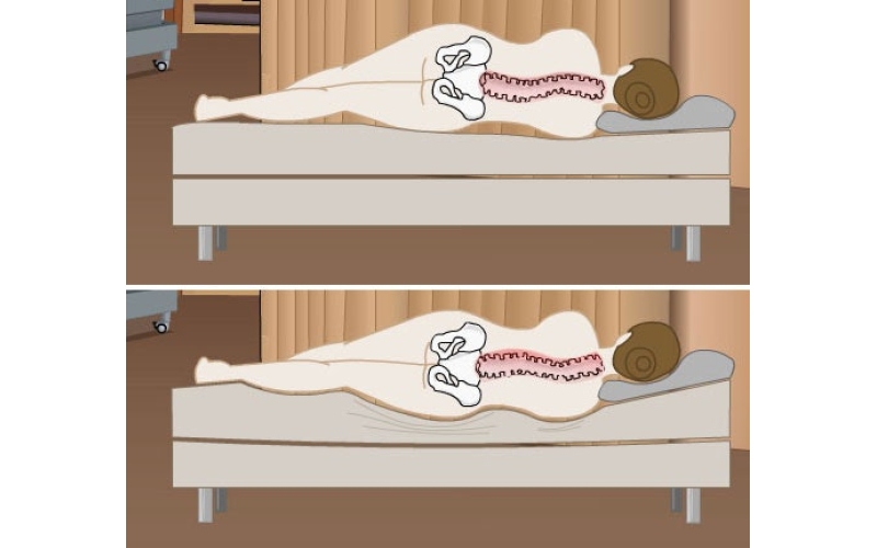 有機(jī)床墊和天然床墊選哪一種
